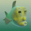 NetFish's Avatar