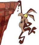 Wile E Coyote's Avatar