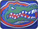 GatorCSM's Avatar