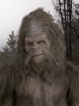 Patsquatch's Avatar