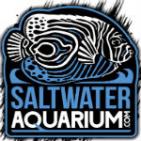 SaltwaterAq's Avatar