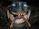 Shark Bait100's Avatar