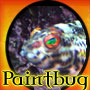 Paintbug's Avatar